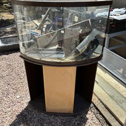 Large Fish Tank With Stand- 2 Extra Tanks!