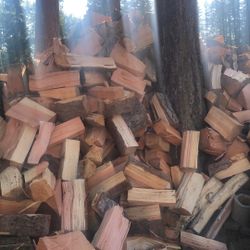 Next Years Firewood