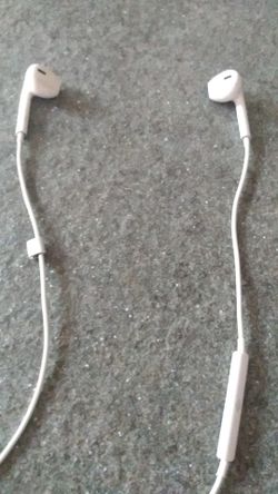 Apple earbuds (with mic)