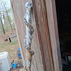 Custom Walking Sticks 