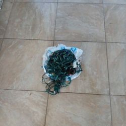 Christmas Lights 