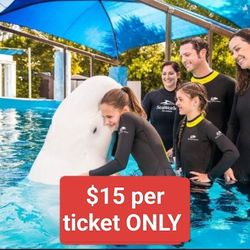 SeaWorld Tickets, Great Deal In The City