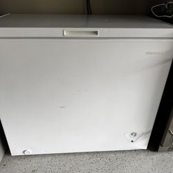 Chest Freezer 10.2 Cu Ft