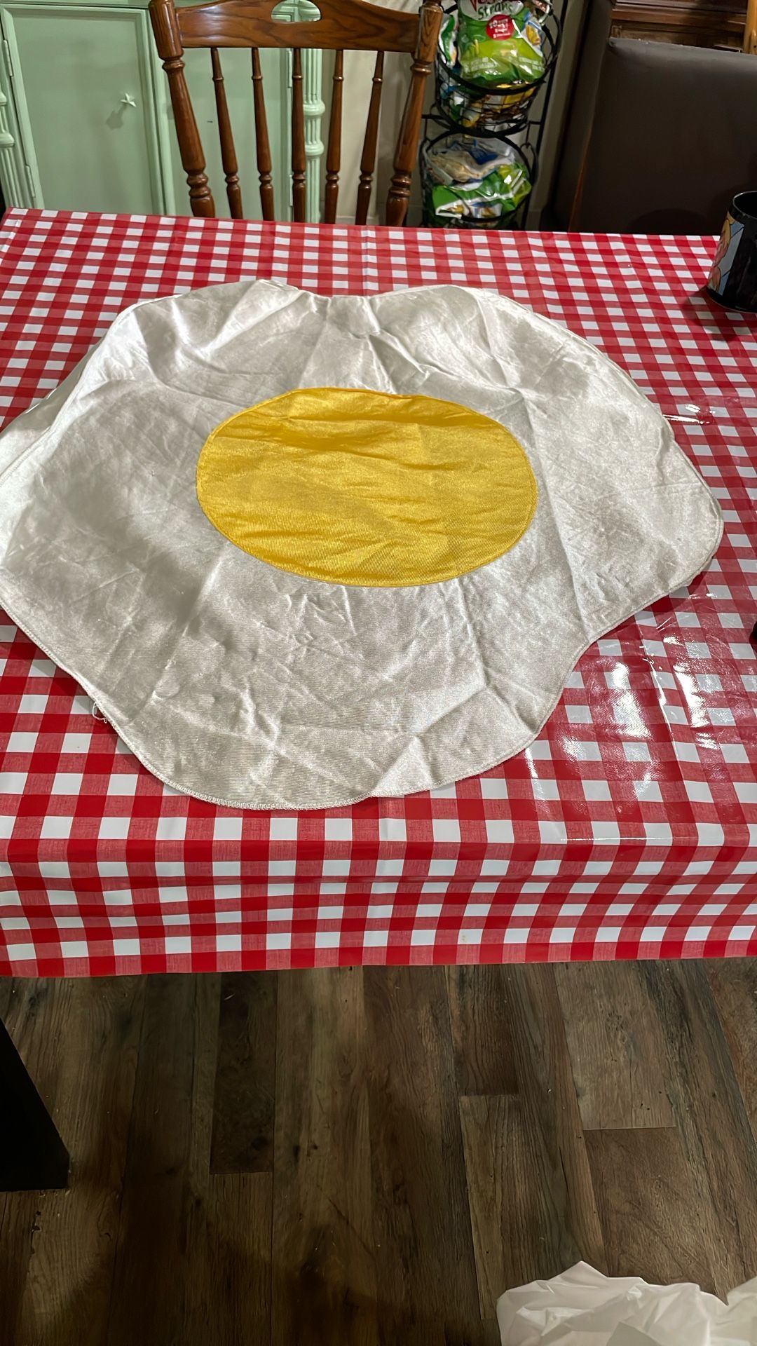 Egg Costume 