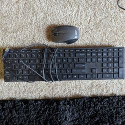 Keyboard And Cordless Mouse
