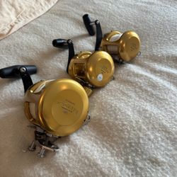 Penn International Fishing Reels