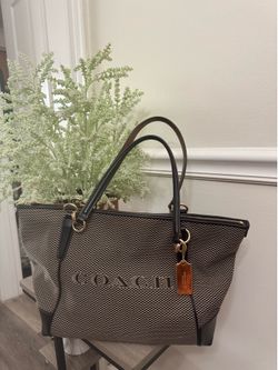Pretty Coach ( Ask for Price)