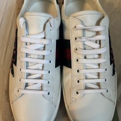 (Men's)GUCCI Trainer's - Size 11.5