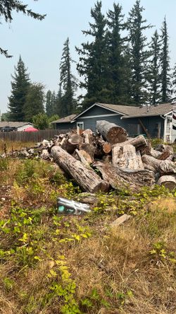 Free firewood