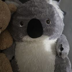 Hershey park koala bear