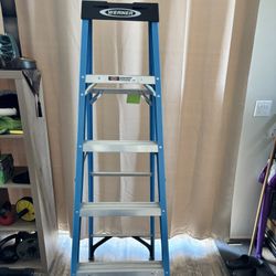 Werner 6 Foot Fiberglass Ladder