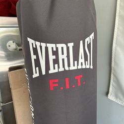 Everlast Punching Bag With Base