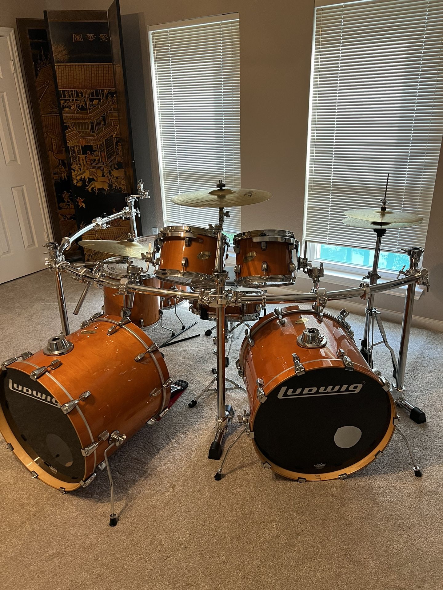 Ludwig Custom Drum Set