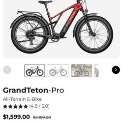 Electric Bike Vanpowers