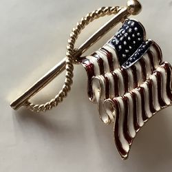 USA BROOCH