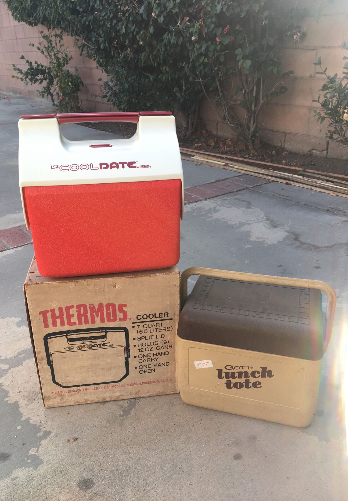 FREE Lunch boxes - Lunch Totes - Thermos