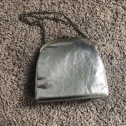 Silver Purse