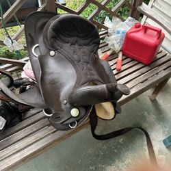 Wintec Saddle 
