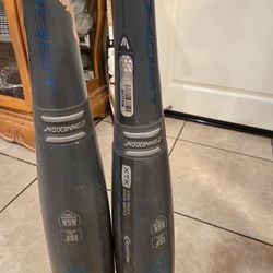 Easton Softball Bat