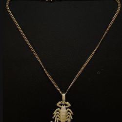 SPCY Gold Scorpion King Pendant with 22" Chain