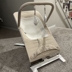 Baby Delight Alpine Deluxe Portable Bouncer