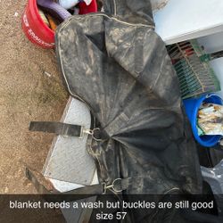 horse blankets 