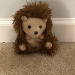 Hairy Hedgehog 