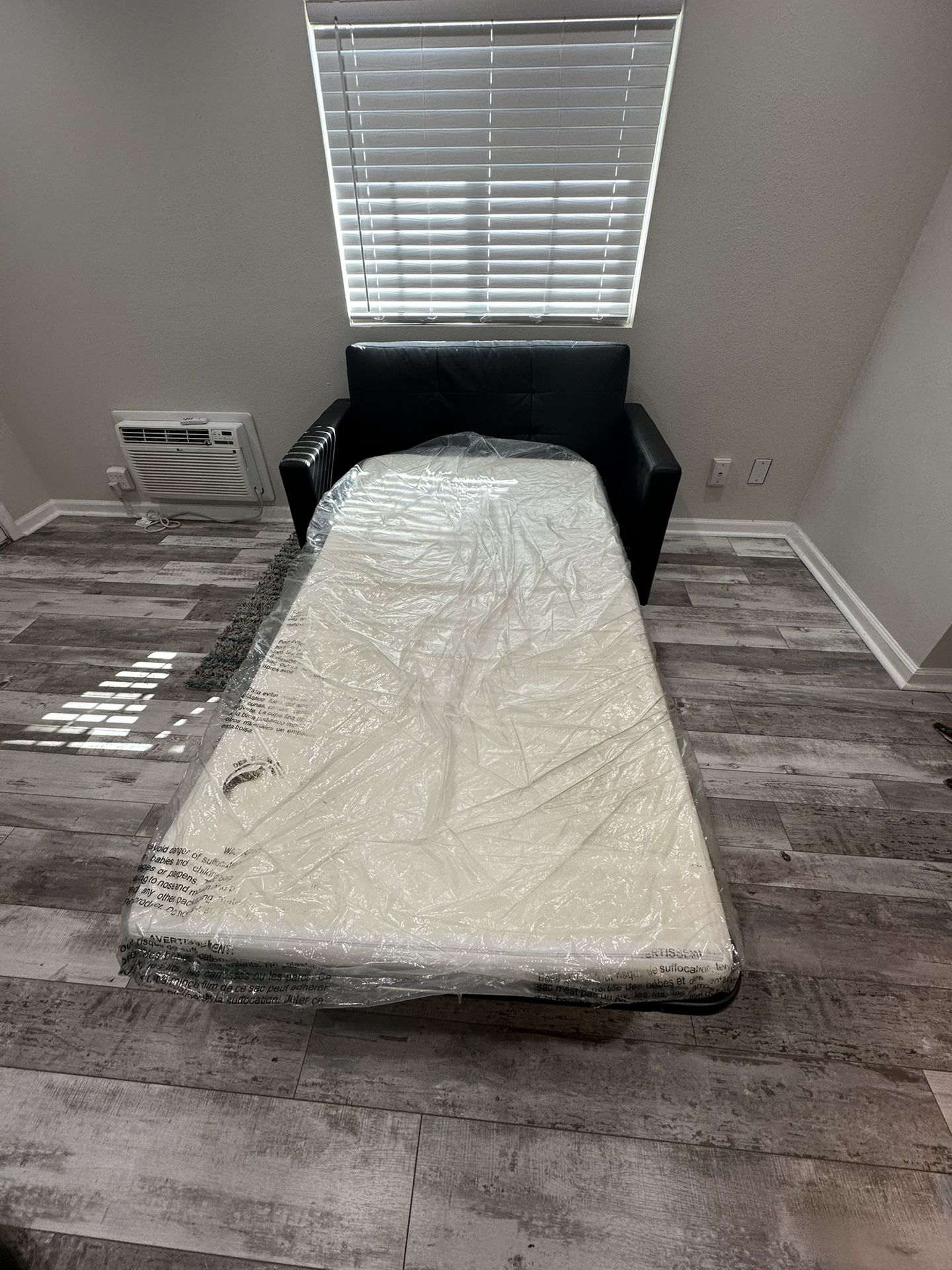 Black Couch Bed