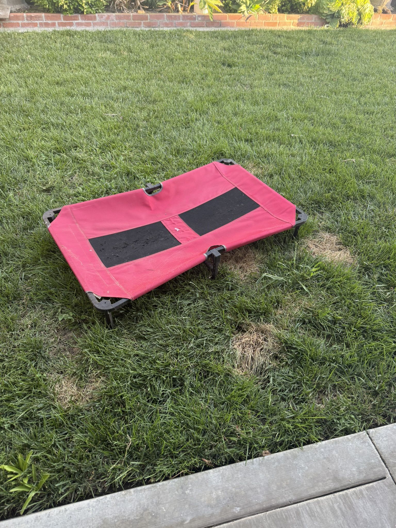 Dog Bed