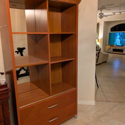 Cabinet/Bookcase 