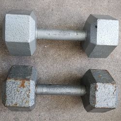 Iron Dumbbells 20lbs 