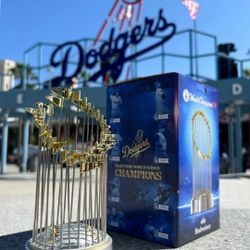 World Series Trophy 🏆 2024 