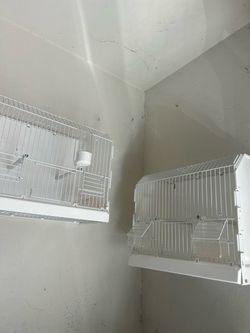 Bird cage