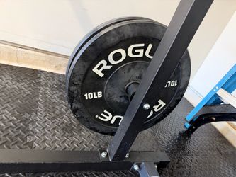 Rouge Bumper plate set 10-45 lb