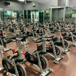 FreeMotion Stationary Bike Spin Bike Indoor Exercise Bicycle Cardio Workout 