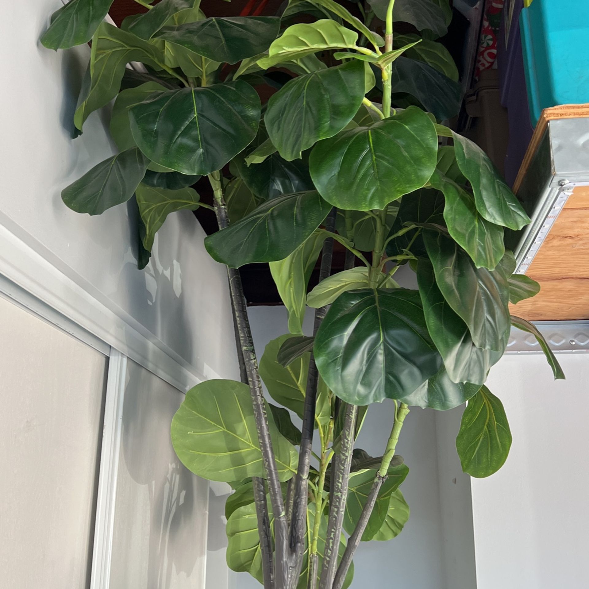 Plant - Fake Realistic Large Plant W/ Woven Vase