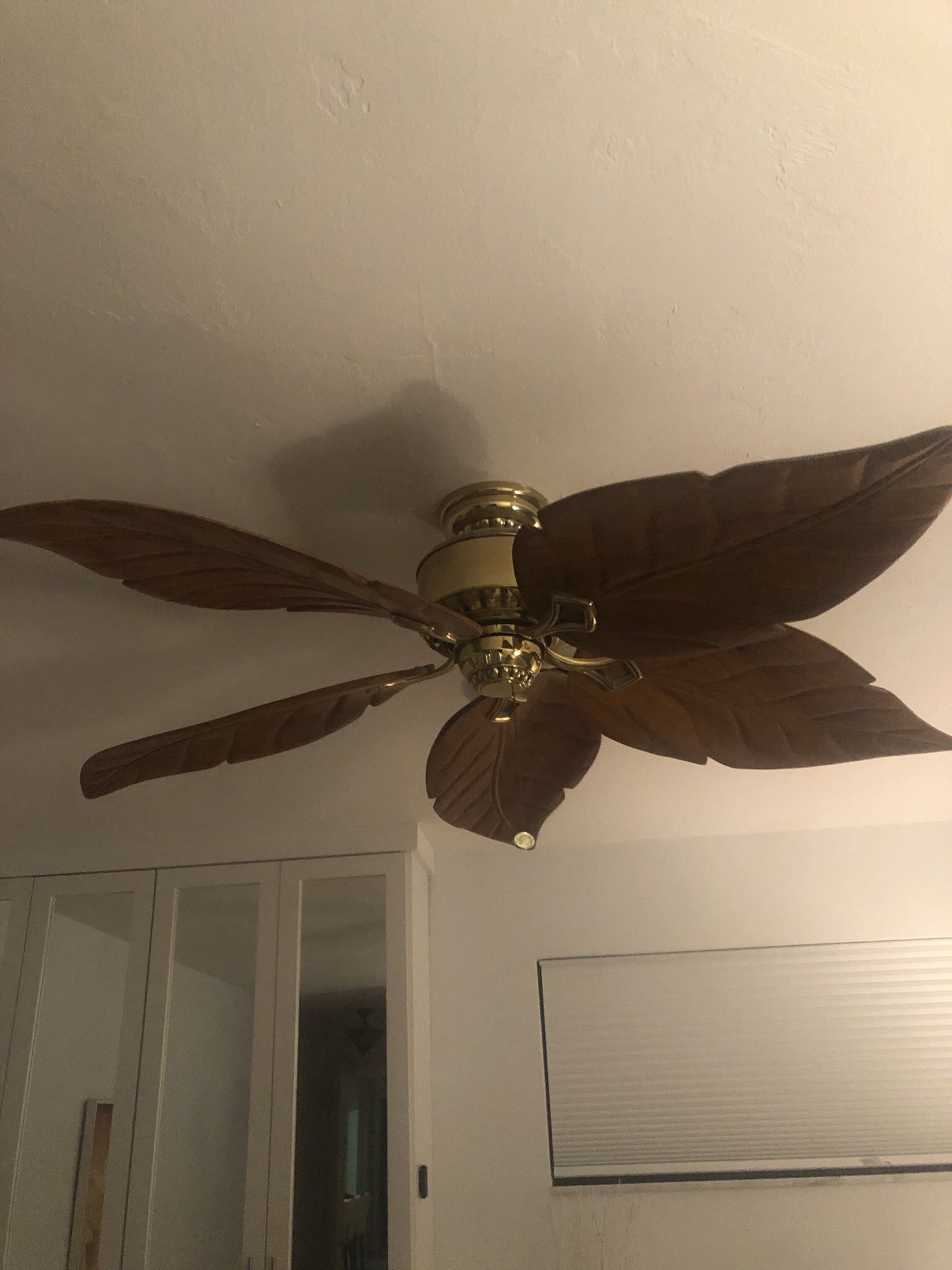 Ceiling Fan