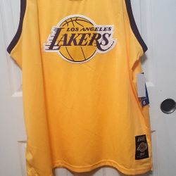 GOAT LEBRON JAMES JERSEY LAKERS BIG EMBROIDERED LOGO 