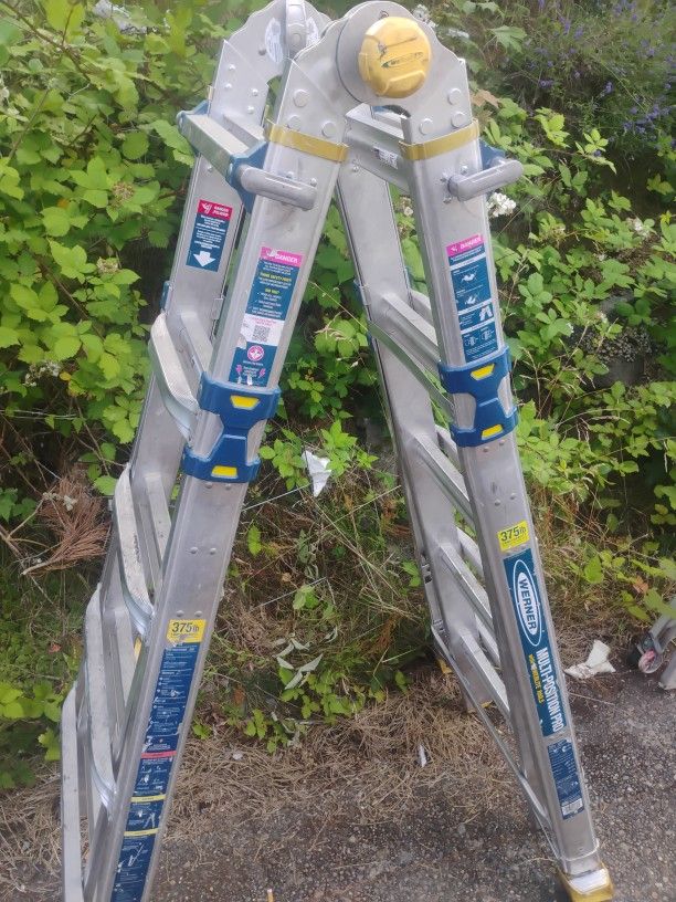 Werner 21ft Extension Ladder