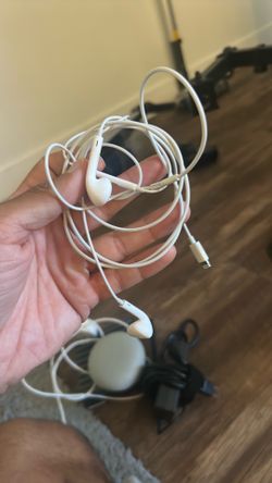 Apple earphones