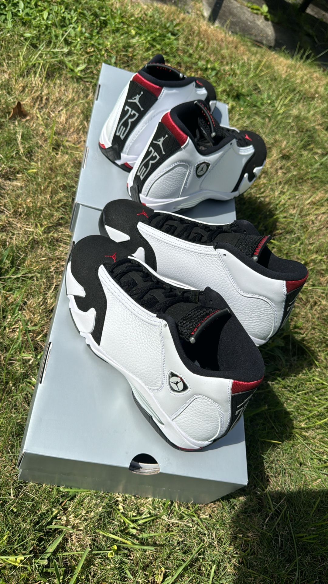 Jordan 14s Black Toes
