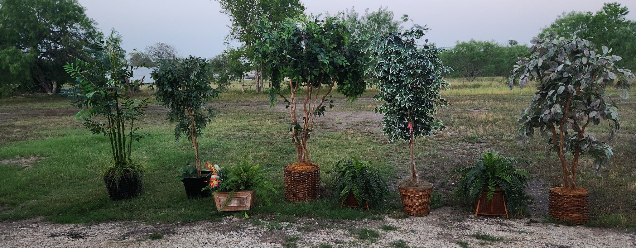 Artificial Trees And Plants