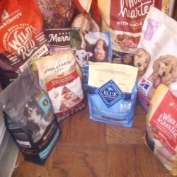 Lots Of Quality Brand Dry Dog Food 