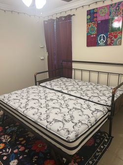 Bed