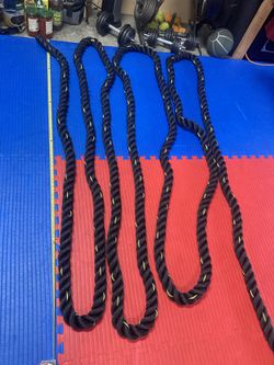 2" Battle Rope Gym Workout