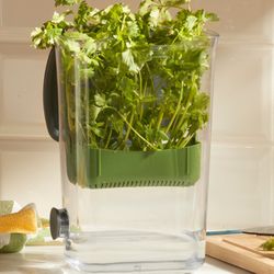 Recipiente para conservar hierbas De Princess House 