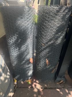 Chicken wire large amount