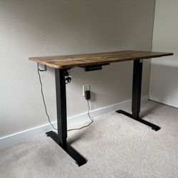 Electric Standing Desk, 48 x 24 Inches Height Adjustable