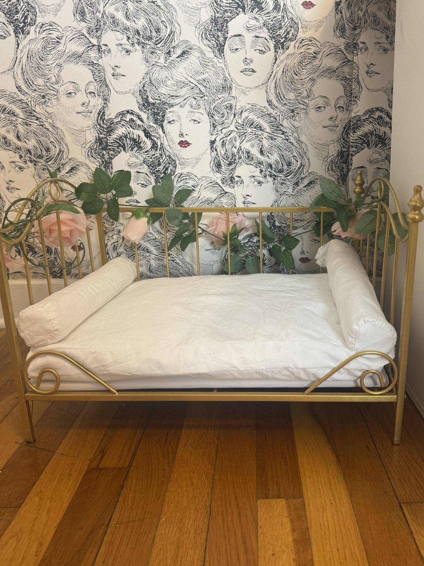 Dog Bed Small Gold Trim Pet 
