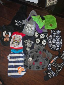Size small Dog Clothes Lot – 32 Pieces